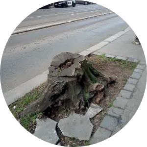 Frézování pařezu město