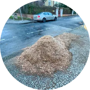 štěpka po pařezu